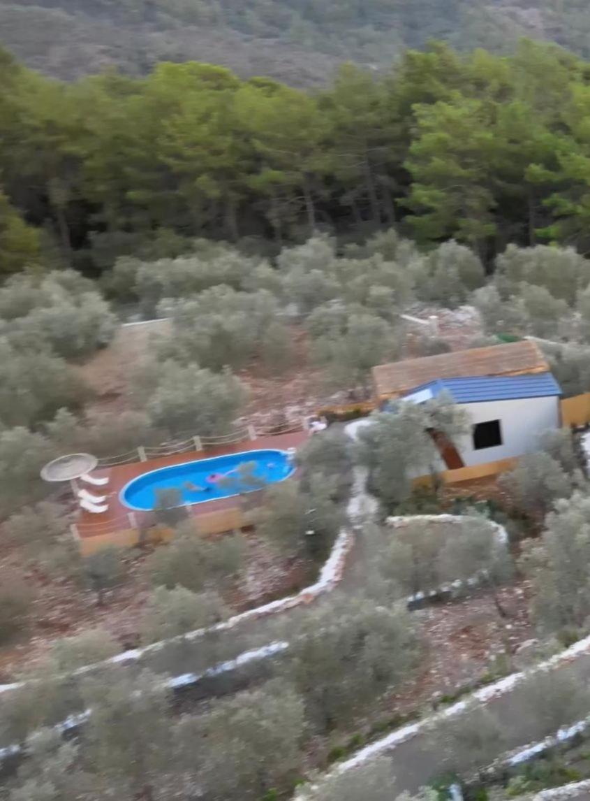 Villa Lovin Goecek Tiny House Butterfly Gokceovacik Esterno foto